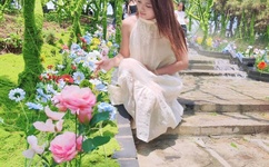 唐古拉风暴全集